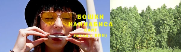 тгк Зеленодольск