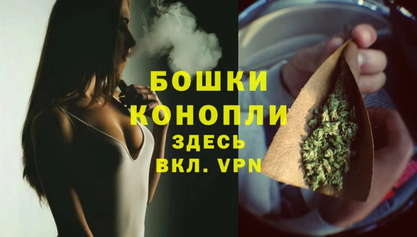 прущие грибы Ижевск
