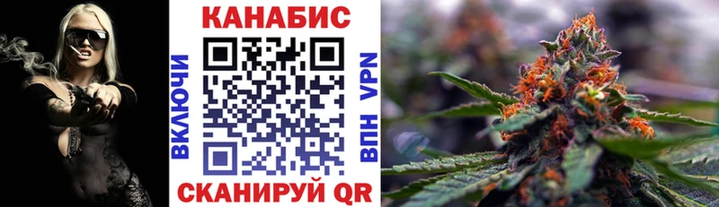 Канабис сатива  darknet формула  Карачаевск  KRAKEN сайт 